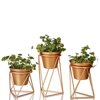 Indoor Metal Flower Pot With Stand Outdoor Planters Holder Set Of 3 Green Plant Office Home Decoration
Indoor Metal Flower Pot With Stand Outdoor Planters Holder Set Of 3 Green Plant Office Home Decoration