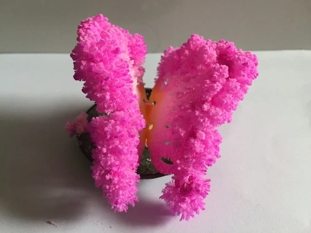 6x7cm Pink Growing Magic Paper Butterfly Tree Artificial Magically Grow Christmas Trees Regalos Magicos Kids Science Toys 50PCS
6x7cm Pink Growing Magic Paper Butterfly Tree Artificial Magically Grow Christmas Trees Regalos Magicos Kids Science Toys 50PCS