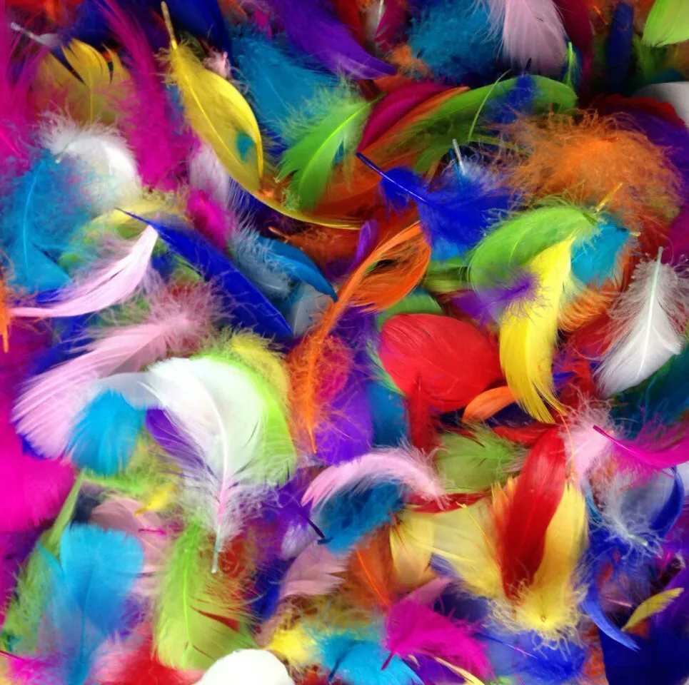 Mix color 100pcs Goose Feathers 8-12cm Goose Feather stage Plumes Feathers Washed Goose Down Fluffy Plume For Wedding 3-4 inch
Mix color 100pcs Goose Feathers 8-12cm Goose Feather stage Plumes Feathers Washed Goose Down Fluffy Plume For Wedding 3-4 inch