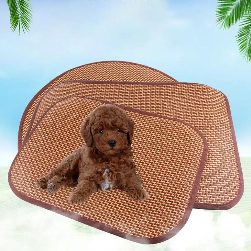 Pet Car Seat Cover cat bed Cooling Grass Pad Cats Dogs bed Summer Comfortable Sleep Mat Home Auto Covers Seat Protector Cushion
Pet Car Seat Cover cat bed Cooling Grass Pad Cats Dogs bed Summer Comfortable Sleep Mat Home Auto Covers Seat Protector Cushion