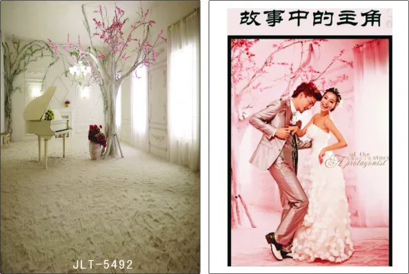 300cm*300cm Vinyl Custom Photography Backdrops Prop Digital Photo Studio Background S-5492
300cm*300cm Vinyl Custom Photography Backdrops Prop Digital Photo Studio Background S-5492