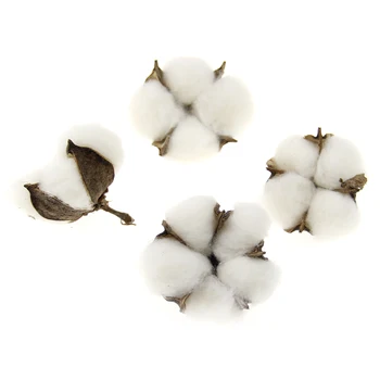 Kapok for Home Decoration 3 pcs 65 mm 3D Dry Flower Wool Felt Cotton DIY Jewelry Accessory Toddler Girl Hair Clip Headband Decor
Kapok for Home Decoration 3 pcs 65 mm 3D Dry Flower Wool Felt Cotton DIY Jewelry Accessory Toddler Girl Hair Clip Headband Decor