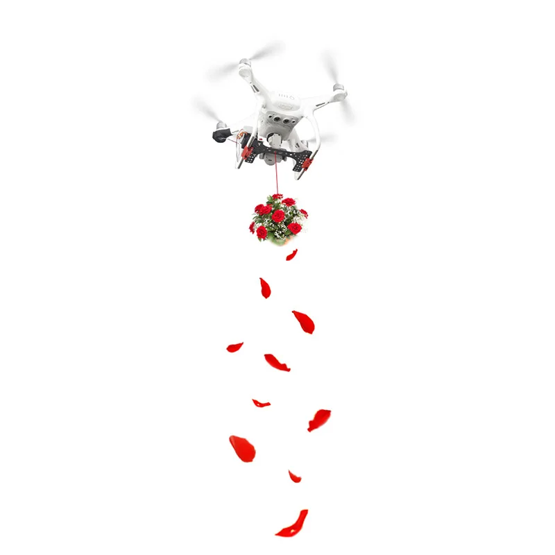 Servo Parabolic Switch Air parabolic device Remote control control For DJI phantom 3 Advanced Professional drone Accessories 1 (16)