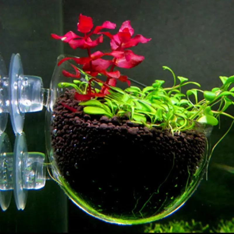 

New Aquarium decoration fish tank Mini Crystal Glass Pot Polka Water potted aquatic planting cylinder cup aquarium accessories