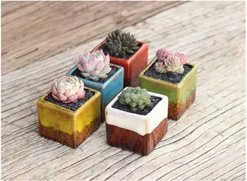 2019 5pcs Household Ceramic Mini Flowerpots Simple Pastoral Style Square Succulents Flower Pots Desktop Decoration High Quality
2019 5pcs Household Ceramic Mini Flowerpots Simple Pastoral Style Square Succulents Flower Pots Desktop Decoration High Quality