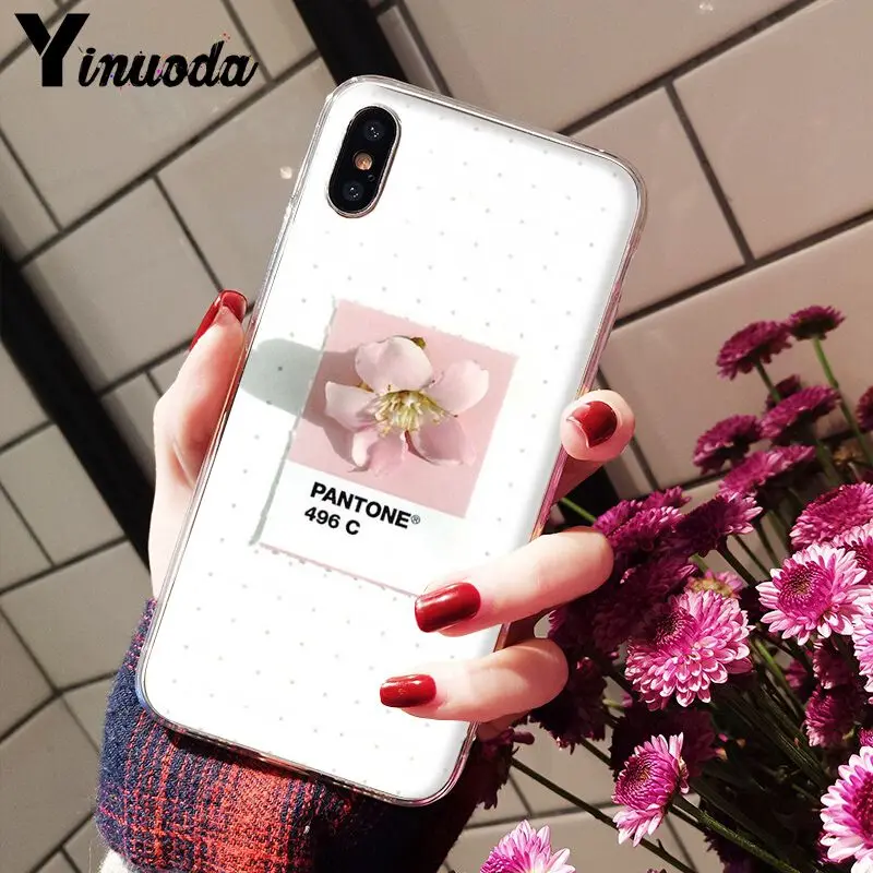 Pantone Candy Color Flower