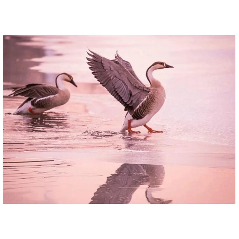 QQ20190220192944