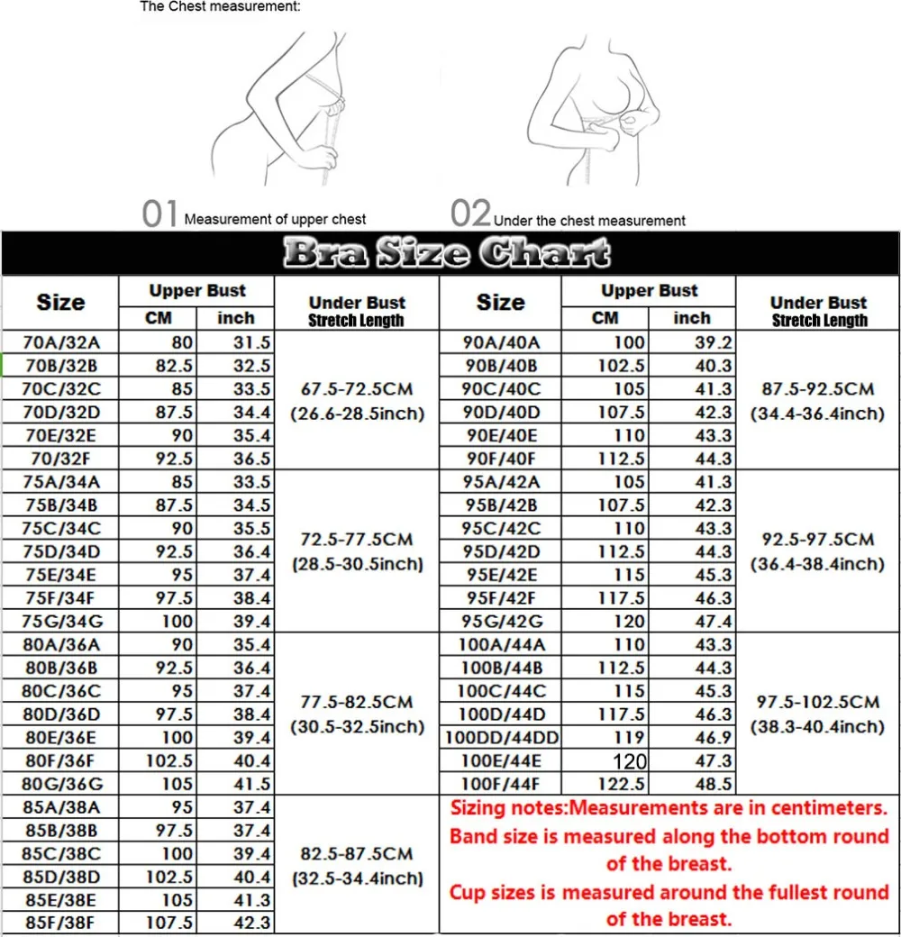 36b Size Chart