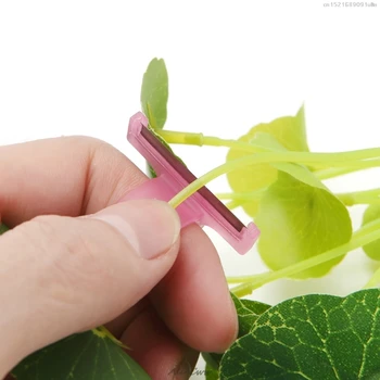 2018 NEW Garden Tomato Cucumber Grape Fruit Blade Tool Ring Melon Scissors T Model
2018 NEW Garden Tomato Cucumber Grape Fruit Blade Tool Ring Melon Scissors T Model