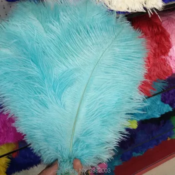 100pcs/lot 10-12 inch fluffy soft ostrich feathers Aqua blue feather for craft ostrich plumes wedding party decoration 25-30cm
100pcs/lot 10-12 inch fluffy soft ostrich feathers Aqua blue feather for craft ostrich plumes wedding party decoration 25-30cm