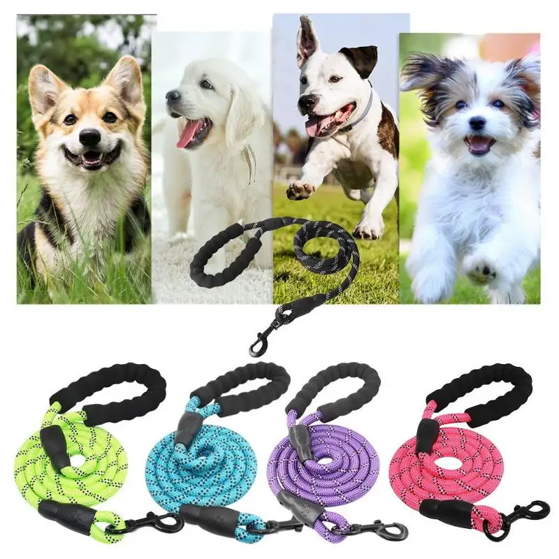 1.5m Pet Leash Running Tracking Lead Nylon Rope Tracking Leashes Mountain Climbing Rope for Medium Large Big Dog
1.5m Pet Leash Running Tracking Lead Nylon Rope Tracking Leashes Mountain Climbing Rope for Medium Large Big Dog