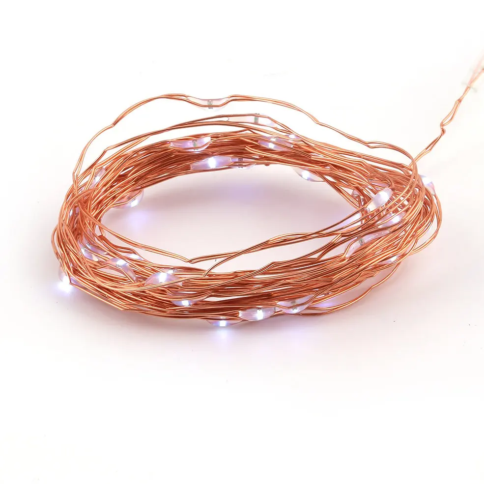 5 PCS 4M 40 LEDs Battery Operated LED String Lights With Positive white Battery Case 
5 PCS 4M 40 LEDs Battery Operated LED String Lights With Positive white Battery Case