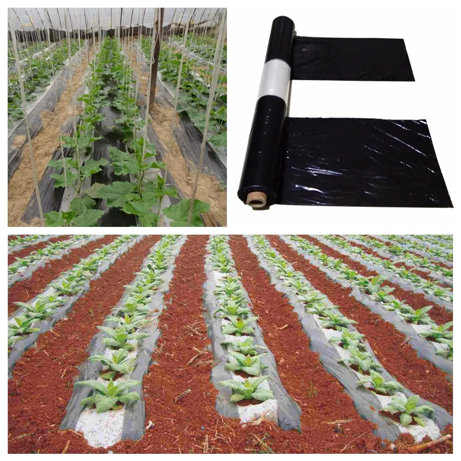 25m White-Black Garden Film Agriculture Plastic Film Weed Control PE Film Fruit Tree Mulch Film Plants Covers Grow Film
25m White-Black Garden Film Agriculture Plastic Film Weed Control PE Film Fruit Tree Mulch Film Plants Covers Grow Film