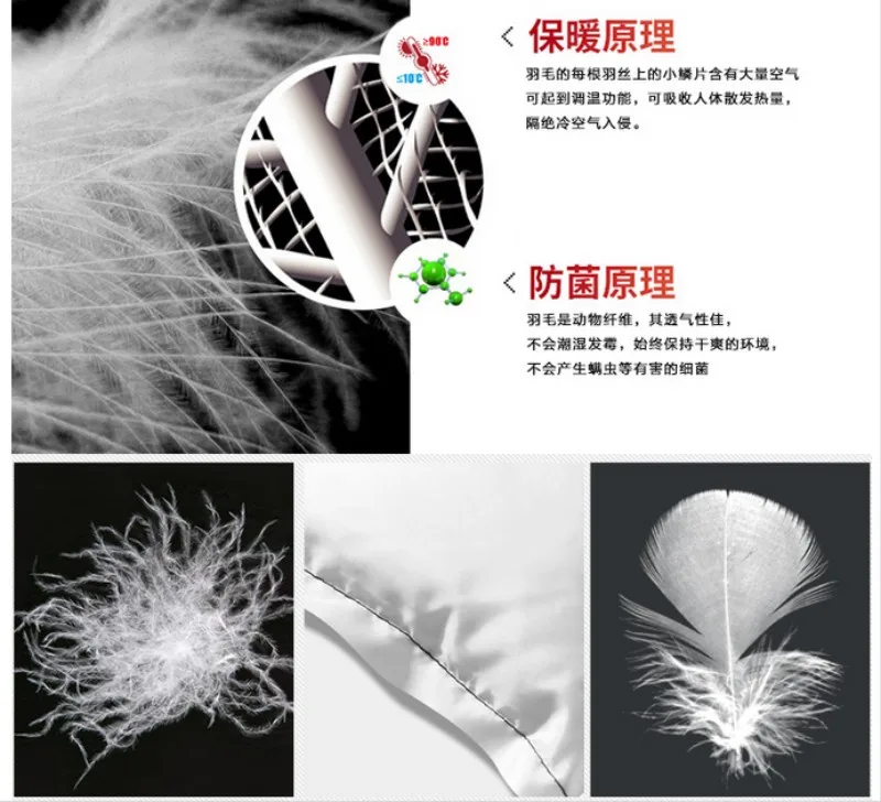 conew_qq20171016222623
