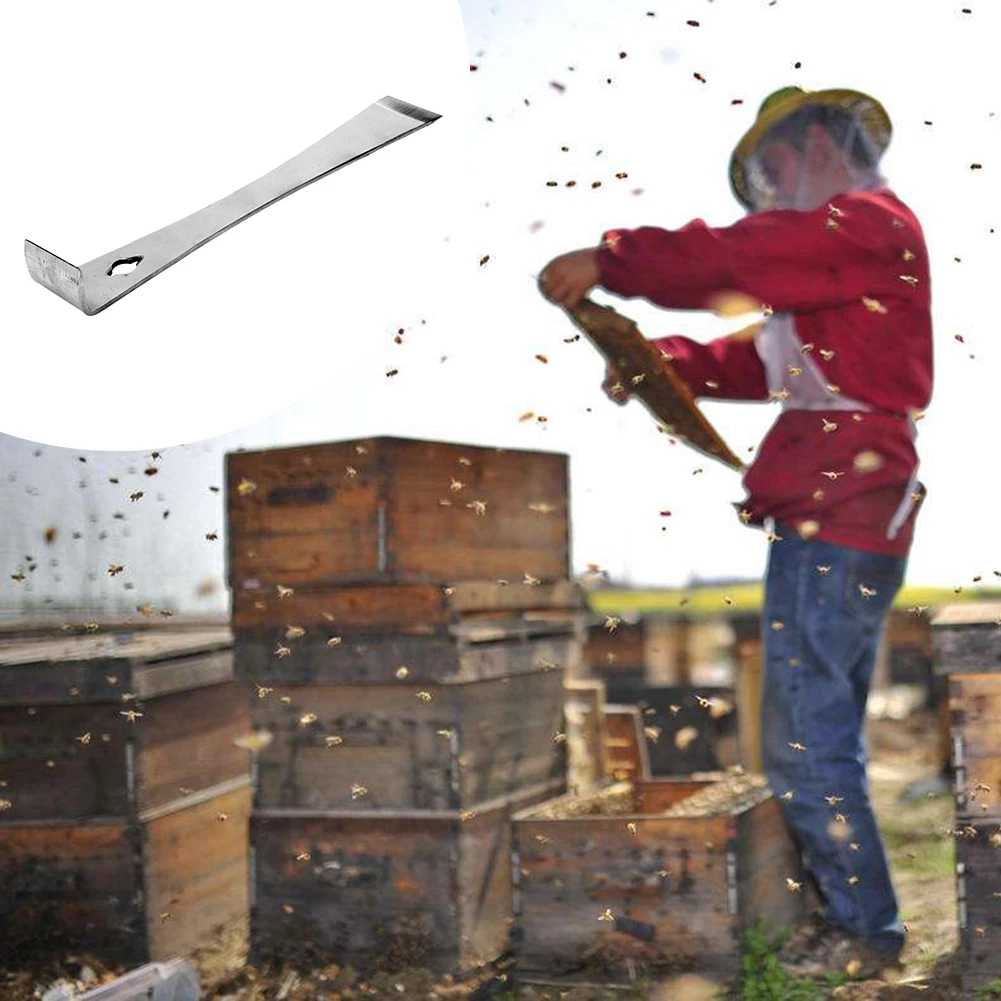 Beekeepers Extracting Scraper New Pry Trim Beekeeping Stainless Steel Hook Hive Tool Bar Beekeeping Equipment Honey Bee Hive
Beekeepers Extracting Scraper New Pry Trim Beekeeping Stainless Steel Hook Hive Tool Bar Beekeeping Equipment Honey Bee Hive