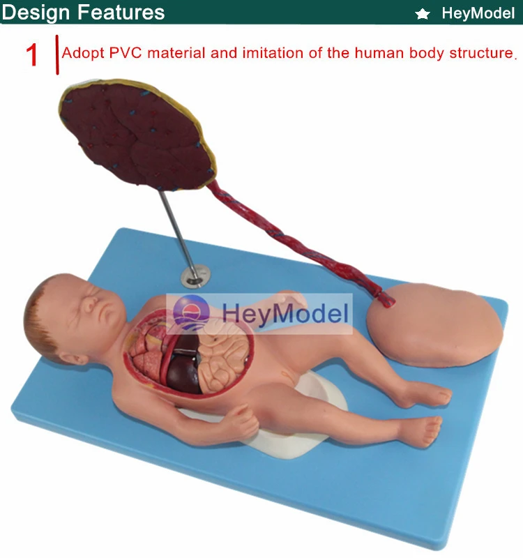 1.PVC_