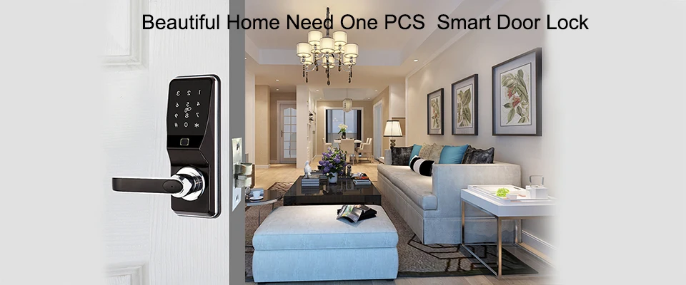 Electronic Lock Door