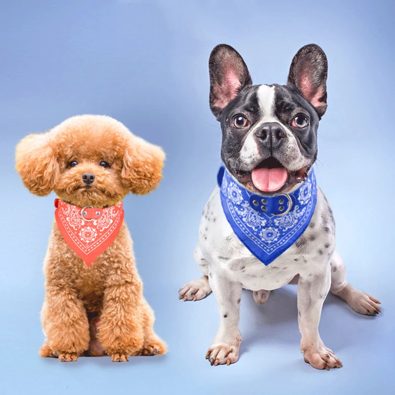 Collar Custom Necklace Pet Accessories 7 Colors Fashion Dog Bandage Collar Cat Scarf Tie Leather Neckerchief for Small Large Dog
Collar Custom Necklace Pet Accessories 7 Colors Fashion Dog Bandage Collar Cat Scarf Tie Leather Neckerchief for Small Large Dog