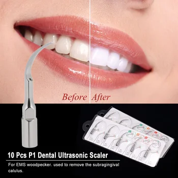 10 Pcs Dental Ultrasonic Scaler Handpiece Scaling Tips Handpiece Fit for EMS Woodpecker Dental Ultrasonic Scaling Tips
10 Pcs Dental Ultrasonic Scaler Handpiece Scaling Tips Handpiece Fit for EMS Woodpecker Dental Ultrasonic Scaling Tips
