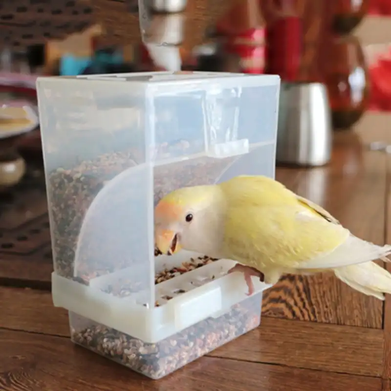 Bird Poultry Feeder Automatic Acrylic Food Container Parrot Pigeon