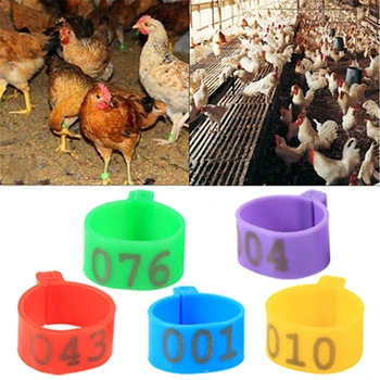 5 Colors Pigeon Geese Quail Bird Ring Carry Tools Feeding Logo 100 Pcs Chicken Leg Bands 1.6cm Chicken Poultry Rings
5 Colors Pigeon Geese Quail Bird Ring Carry Tools Feeding Logo 100 Pcs Chicken Leg Bands 1.6cm Chicken Poultry Rings