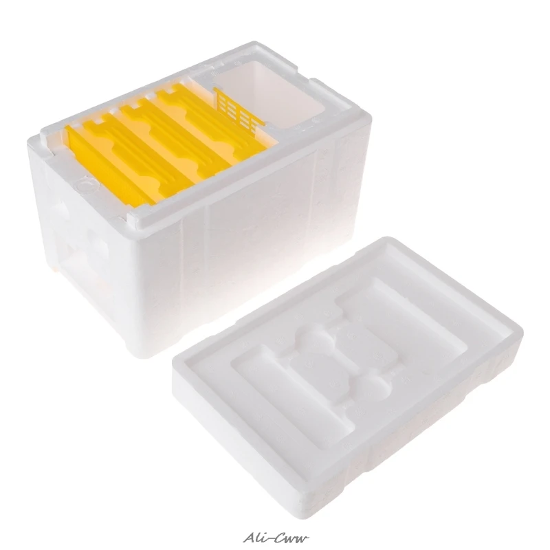 Bee Pollination Box Beekeeping Case Equipment Home Beehive Tools Garden Harvest A823
Bee Pollination Box Beekeeping Case Equipment Home Beehive Tools Garden Harvest A823