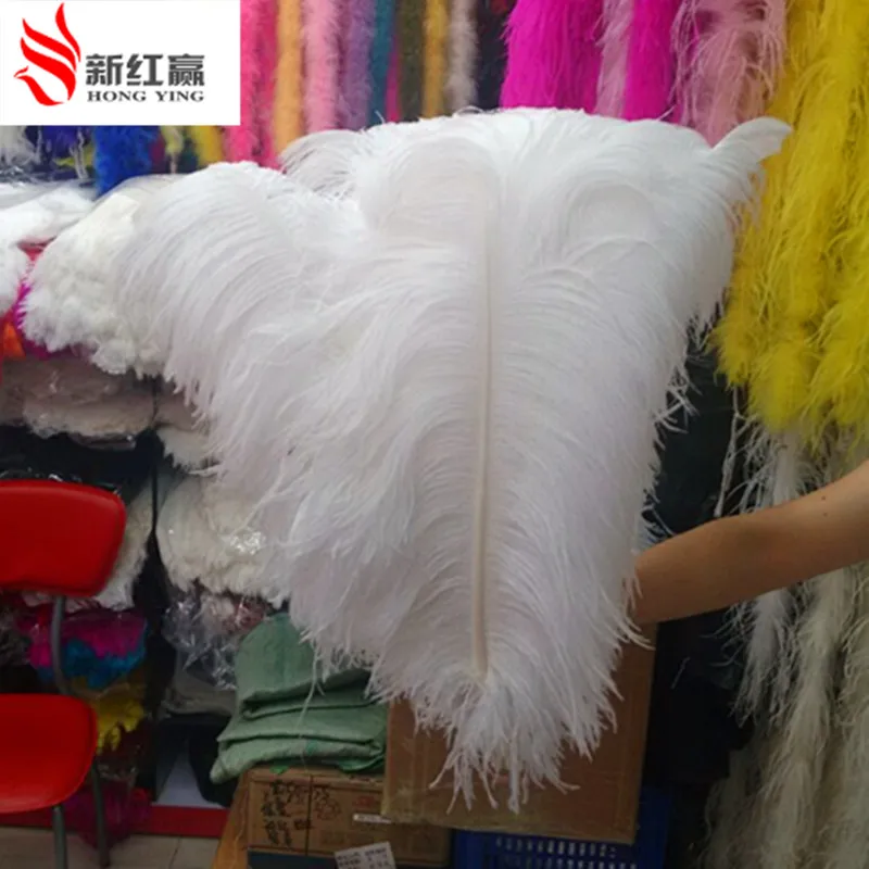 Big pole ostrich feather white ostrich feather 10pcs 50-55 cm/20-22 inches high quality ostrich feathers for wedding decorations
Big pole ostrich feather white ostrich feather 10pcs 50-55 cm/20-22 inches high quality ostrich feathers for wedding decorations