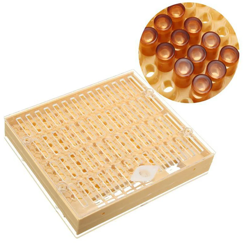 Durable Practical Tools Beekeeping Tool Kit 100 Cell Cups Plastic Apiculture Helper Yellow Queen Rearing System Cupkit Bee Nicot
Durable Practical Tools Beekeeping Tool Kit 100 Cell Cups Plastic Apiculture Helper Yellow Queen Rearing System Cupkit Bee Nicot