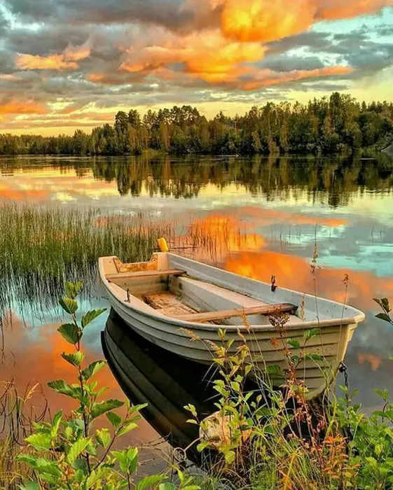 A boat by the river Art Hand-painted Creative Digital Oil Painting 24 Color Pigment Brush Painting DIY Painting By Numbers
A boat by the river Art Hand-painted Creative Digital Oil Painting 24 Color Pigment Brush Painting DIY Painting By Numbers