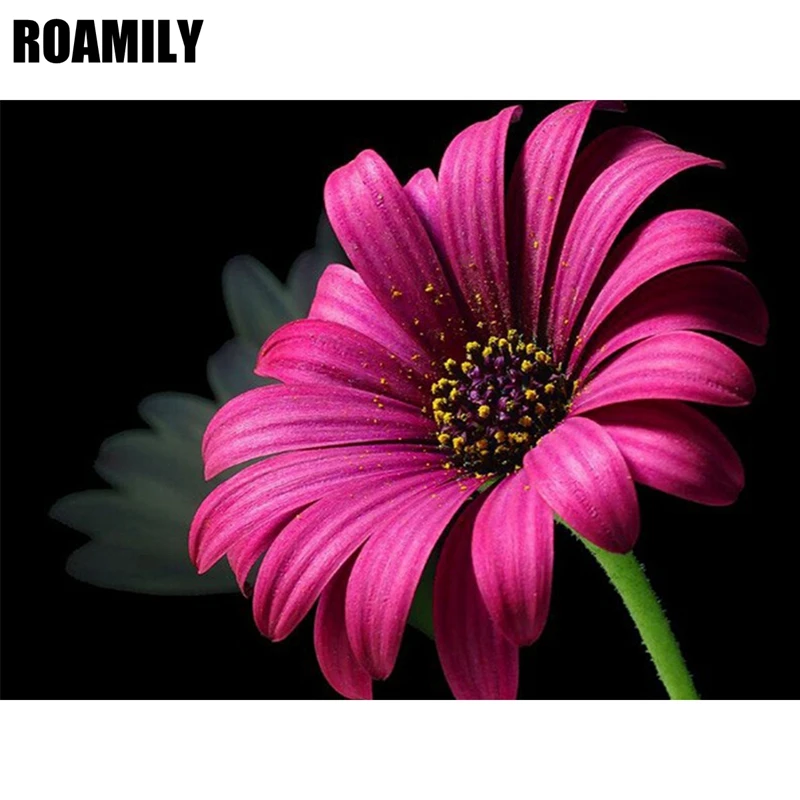 Roamily,Embroidery with Diamonds,Purple Flowers,Picture 5d Diy Diamond Painting,Diamond Embroidery,Embroidered with Rhinestones
Roamily,Embroidery with Diamonds,Purple Flowers,Picture 5d Diy Diamond Painting,Diamond Embroidery,Embroidered with Rhinestones