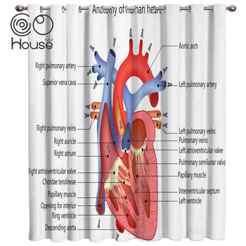 COCOHouse Human Heart Anatomy Window Treatments Curtains Valance Room Curtains Large Window Bathroom Curtains Bedroom Outdoor
COCOHouse Human Heart Anatomy Window Treatments Curtains Valance Room Curtains Large Window Bathroom Curtains Bedroom Outdoor