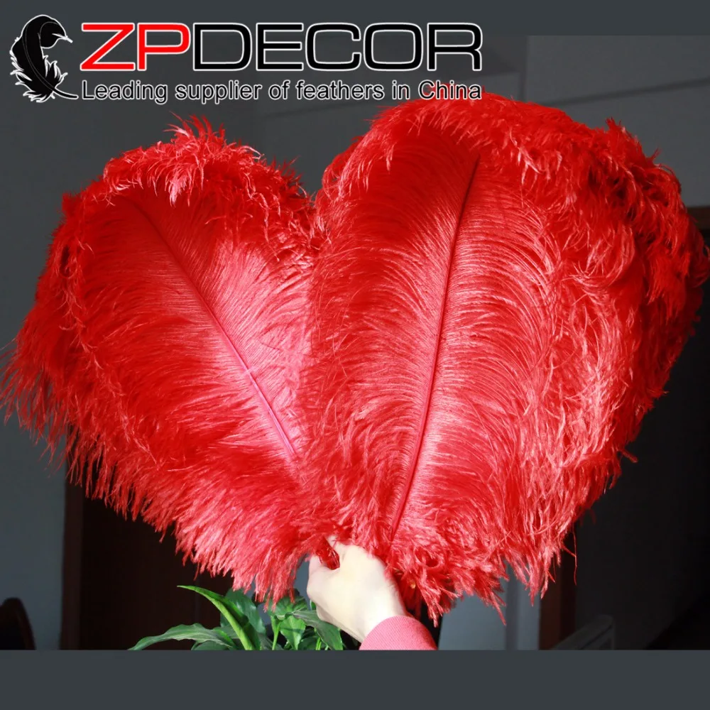 ZPDECOR 50pcs/lot 50-55cm(20-22inch)Hand Fluffy and Smooth Red Dyed Ostrich Feather Plumes for Carnival and Wedding Decor
ZPDECOR 50pcs/lot 50-55cm(20-22inch)Hand Fluffy and Smooth Red Dyed Ostrich Feather Plumes for Carnival and Wedding Decor