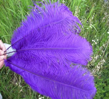 Wholesale beautiful purple ostrich feathers 50pcs 18~20 inches / 45-50 cm Weddings & Celebrations feathers 
Wholesale beautiful purple ostrich feathers 50pcs 18~20 inches / 45-50 cm Weddings & Celebrations feathers