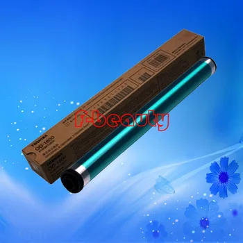 High Quality Original New OPC Drum For Toshiba OD-1600 163 166 167 168 169 181 223 203 205 206 207 208 209 237 258 259 280 Drums
High Quality Original New OPC Drum For Toshiba OD-1600 163 166 167 168 169 181 223 203 205 206 207 208 209 237 258 259 280 Drums
