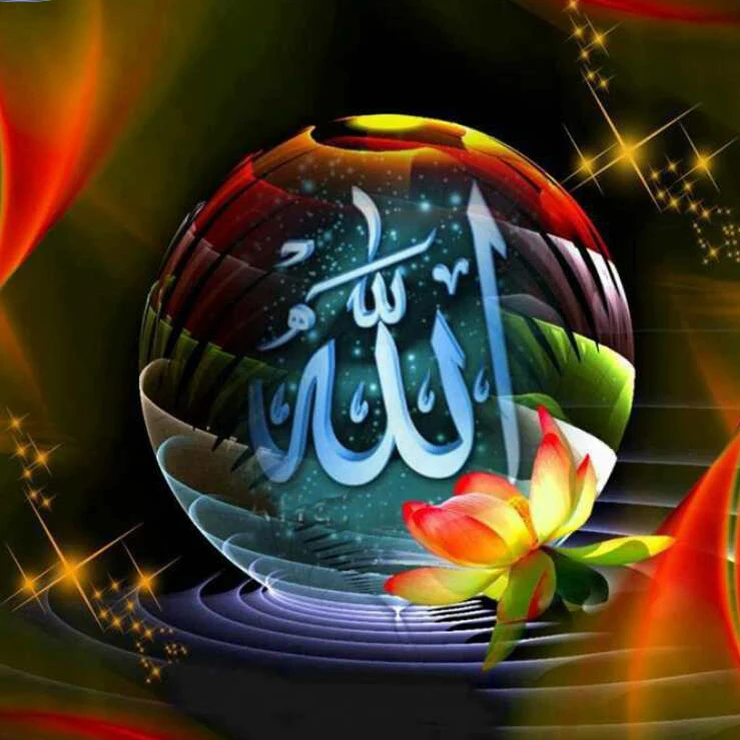 HTB11Qo3cwsSMeJjSspeq6y77VXaZ
