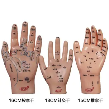 Hand acupuncure and massage model unit hands reflexology zone one pair, Marked in Chinese character.
Hand acupuncure and massage model unit hands reflexology zone one pair, Marked in Chinese character.