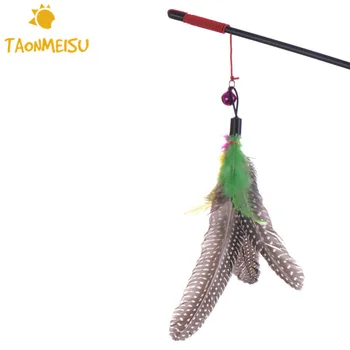 2017 1pcs Pet cat toy Cute Design bird Feather Teaser training Wand Stick Plastic Floss Toy for cats kitten pets Drop shipping
2017 1pcs Pet cat toy Cute Design bird Feather Teaser training Wand Stick Plastic Floss Toy for cats kitten pets Drop shipping