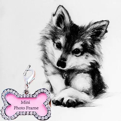 POP ITEM! Bone Shape Pets ID Name Tag Address Pendant Dog Puppy Collar Anti-Lost Card Habitat Decor Dog Tag
POP ITEM! Bone Shape Pets ID Name Tag Address Pendant Dog Puppy Collar Anti-Lost Card Habitat Decor Dog Tag