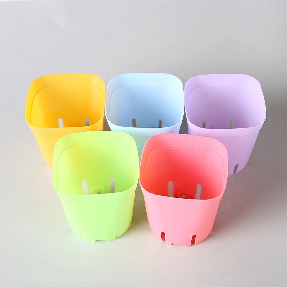 5pcs/lot Mini Square Plant Flower Pot Home Office Decor Planter Colorful with Pots Trays Green Plant Garden Supply
5pcs/lot Mini Square Plant Flower Pot Home Office Decor Planter Colorful with Pots Trays Green Plant Garden Supply