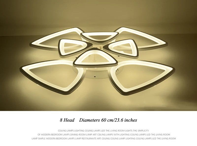 modern ceiling light (29)