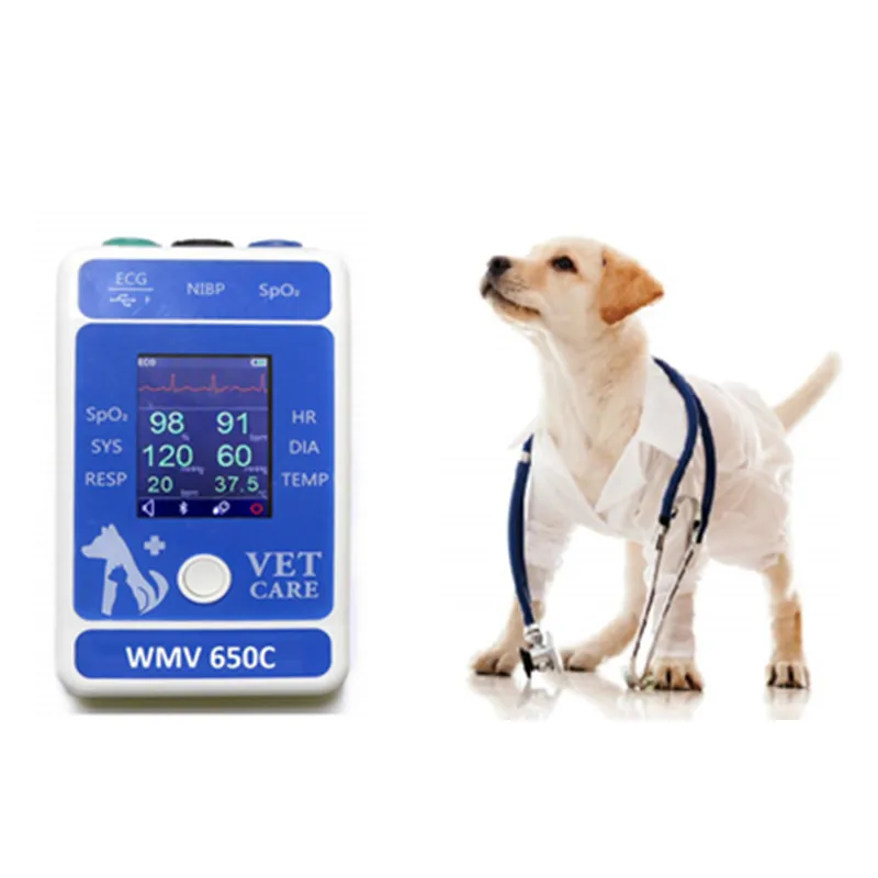 2.4 Inch Color TFT LCD Display Portable Veterinary Bluetooth Patient monitor Medical Clinic Equipment
2.4 Inch Color TFT LCD Display Portable Veterinary Bluetooth Patient monitor Medical Clinic Equipment