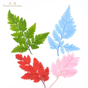 Flower Invitation Alpine fern diy immortal flower leaf fern leaf specimen drip plant preserved flower big branch
Flower Invitation Alpine fern diy immortal flower leaf fern leaf specimen drip plant preserved flower big branch