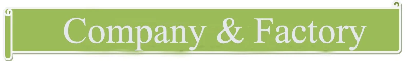 company and factory .jpg