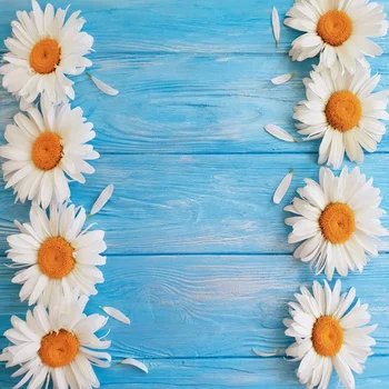 Laeacco Blue Wooden Boards Sunflower Planks Photography Backgrounds Customized Photographic Backdrops For Photo Studio Food Kids
Laeacco Blue Wooden Boards Sunflower Planks Photography Backgrounds Customized Photographic Backdrops For Photo Studio Food Kids