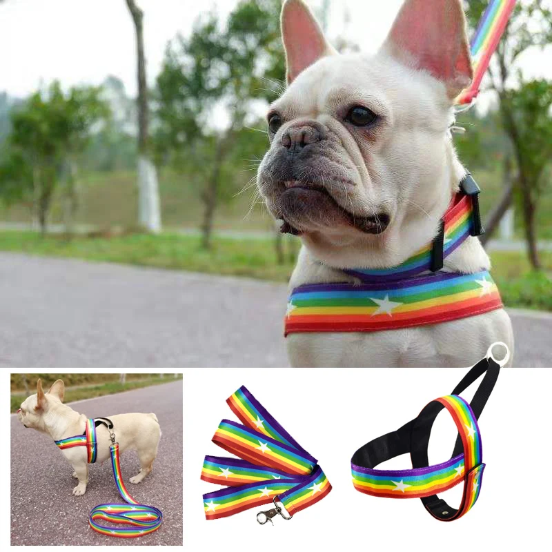Medium Large Dog Harness No Pull No Choke Adjustable Pet Dog Harness Vest with Handle Fashion Rainbow Prints Heavy Duty Dog Vest
Medium Large Dog Harness No Pull No Choke Adjustable Pet Dog Harness Vest with Handle Fashion Rainbow Prints Heavy Duty Dog Vest
