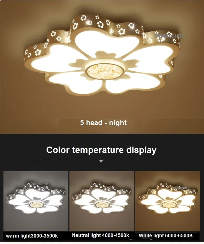 Ultra - thin new flower - style living room ceiling lamps modern simple LED bedroom restaurant study Ceiling lights
Ultra - thin new flower - style living room ceiling lamps modern simple LED bedroom restaurant study Ceiling lights