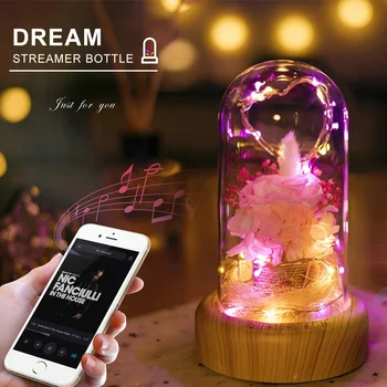 Creative Novelty Gift Dream Streamer Bottle Flower Light Wireless Bluetooth Speaker For Valentine's Day Gift Led Night Light
Creative Novelty Gift Dream Streamer Bottle Flower Light Wireless Bluetooth Speaker For Valentine's Day Gift Led Night Light