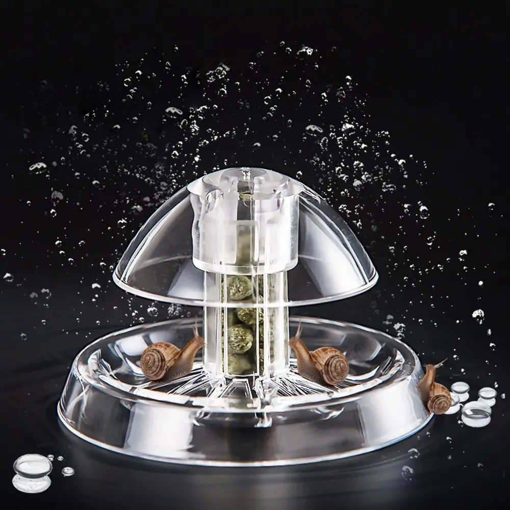 Aquarium Fish Plant Tank Plastic Clear Snail Trap Free Bait for Aquarium Fish Tank Plants Planarian Leech Catch Environment
Aquarium Fish Plant Tank Plastic Clear Snail Trap Free Bait for Aquarium Fish Tank Plants Planarian Leech Catch Environment