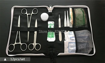 Human anatomy skeleton Human Intramuscular Injection Training Pad Model skull brain skull model in trauma nursing manikin train
Human anatomy skeleton Human Intramuscular Injection Training Pad Model skull brain skull model in trauma nursing manikin train