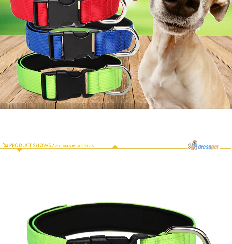 DRESSPET PET DOG Collars (5)